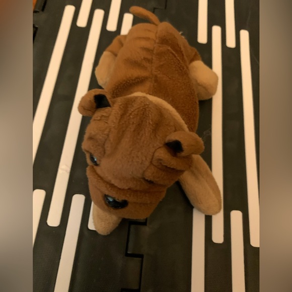 Beanie pup - Picture 1 of 5